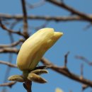 하얀쉼터 이미지