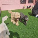 멍노리터 이미지