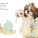 엔젤퍼피 이미지