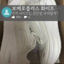 플러스마일 | 나이키 보메로 플러스 화이트 내돈내산: 실패 없는 사이즈 선택 팁과 야간 러닝 실착 후기