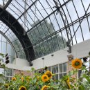 자연의쉼터 이미지