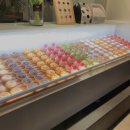 민들레 노래연습장 이미지