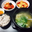 닭곰탕 티스토리