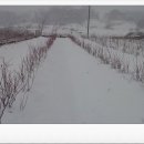 백경농장 이미지