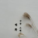 구공스테이 안동 이미지