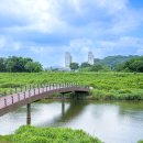 미내다리 이미지