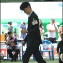 유어펫 라운지 강아지분양 이미지