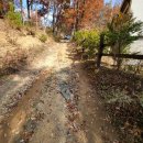 무릉도원면-1 이미지