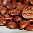 커피콩의하루 이미지