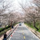 한수제 일원 이미지