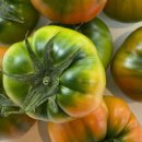 복남농장 이미지