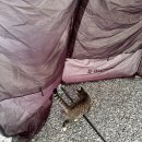 농다리캠핑장 이미지