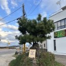 한림읍사무소 | 제주 인테리어 소품샵 '페인트온테이블' '수풀'