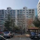 조은맘약국 이미지