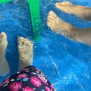 왕방리사랑채 | [동두천] 왕방계곡에서 백숙 먹으며 물놀이 가능한 왕방리 사랑채 💗솔직후기