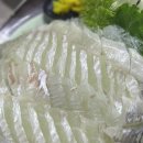 강남-062 | 생생정보 멍게비빔밥 꼬막비빔밥 낙지비빔밥 광주 청정바다회 우산동맛집