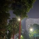 벨듀