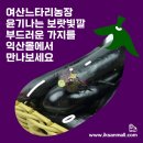 여산농장 네이버블로그