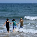 여름아, 부탁해~~ 이미지