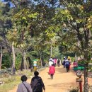 해피로드2 이미지