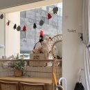 딸기애견 이미지