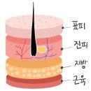 리피부과의원 이미지