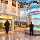 한반도습지생태문화관 이미지