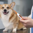 신사동물병원 이미지