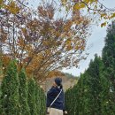 짹짹커피(함안점) 이미지