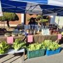 문양호농장 이미지