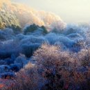 비밀의정원 - 강동구 천호대로170길 34 | 비밀의정원