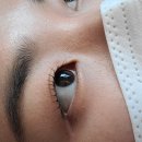UR(파주시)-[미래로]-상-50 | 운정 속눈썹펌/속눈썹이 짱짱하게 올라가는 라인브로우