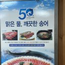 해피투데이 2 | 평창 정선 송어 맛집 <평창송어횟집> 솔직 후기 - 주차/가격/웨이팅