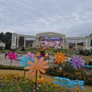 동해시-26 이미지