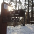 옥룡동 주민센터 이미지