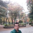 옹기골근린공원 Daum카페