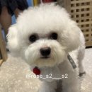 반자주 일광신도시점 이미지