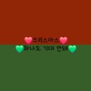 에이와이엠 | ❤️크리스마스시즌 트리명소 트리사냥💚