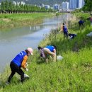 수영강변 이미지