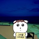 꿈나무수정 | [8월 초반 일상] 당일치기 부산여행🌊 , 유난히 차를 많이 마셨고 🍵, 더위를 버텨냈고 ☀️, 꾸준히 주짓수...