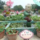 개봉공원 Daum카페