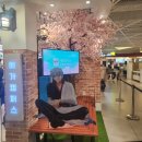 마포-현장-마포-1475 이미지