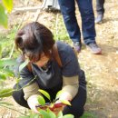 남양농장 이미지