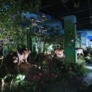 제비호식당 이미지