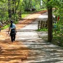 전국 맨발 걷기 성지 / 이색 맨발 걷기 명소 이미지