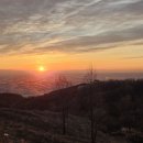 해가뜨다 이미지