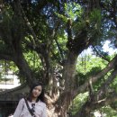 천우화원 이미지