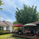 남정리 주차장 | ᴋᴏ국내여행 | 서산 : 콩사랑팥사랑, 서산 현지인 콩국수 찐 로컬 맛집 추천😎 줄 서서 먹는 여름 단일...