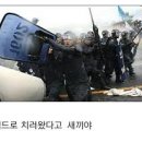 쉴드온