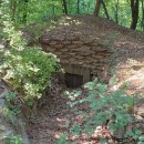 구룡산정상 | 구룡산 및 구룡산 정상 산행과 6월 꽃구경 후기작성 (240606)